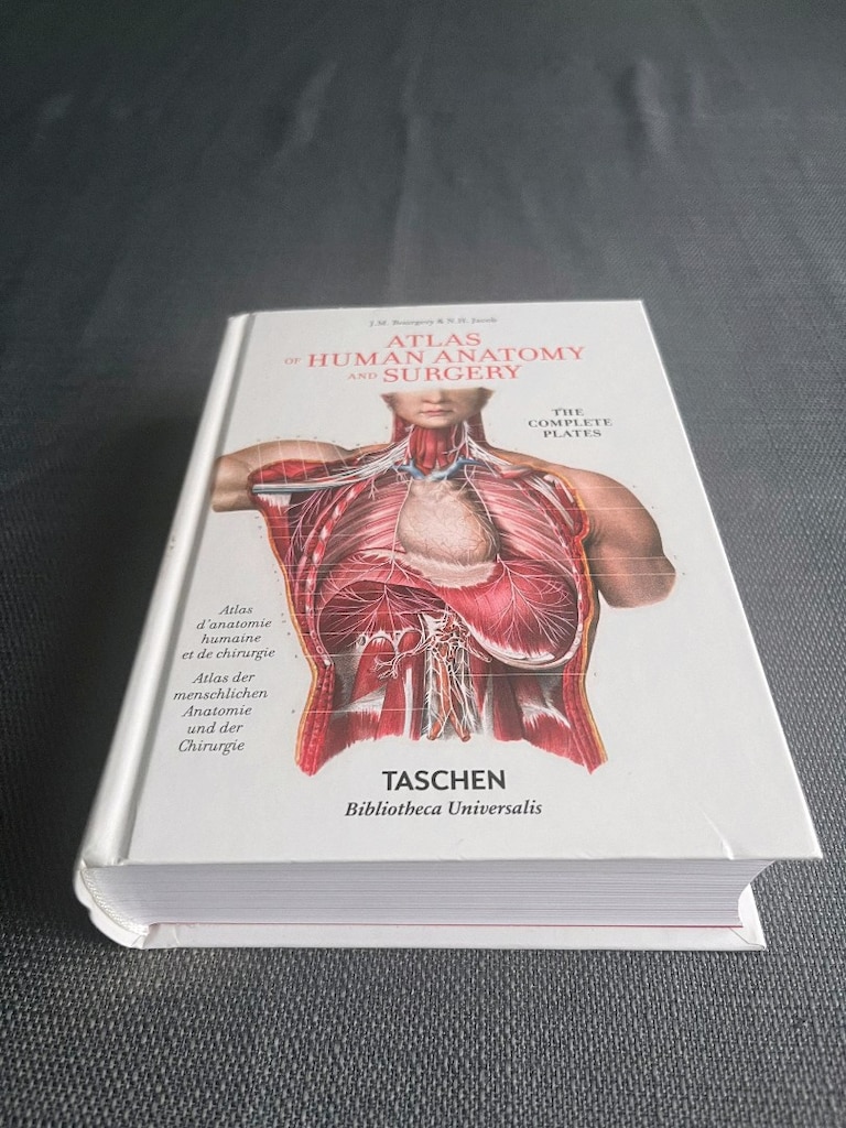 Human Anatomy İngilizce Anatomi Kitap - 3