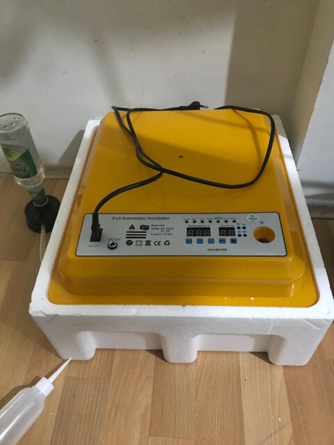 tam otomatik sıfır kuluçka makinesi