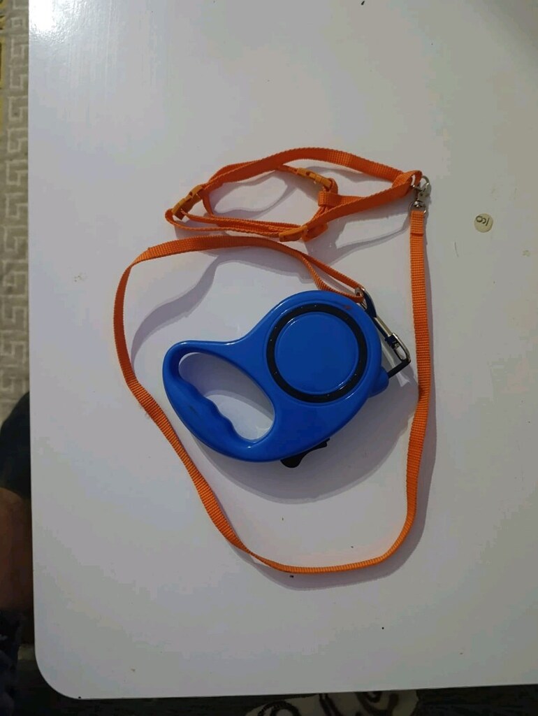 köpek tasmasi - 2