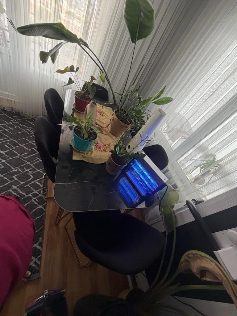 yemek masası sıfır ayarında - 2