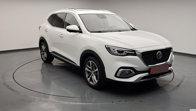 Mg HS