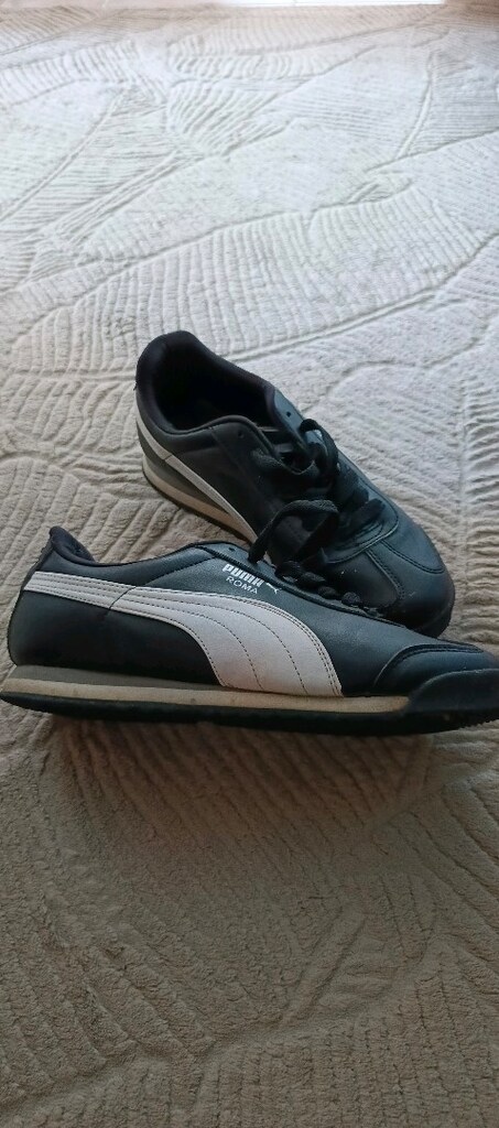 kinetix puma - 4