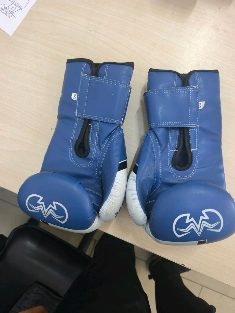 boks eldiveni - 2