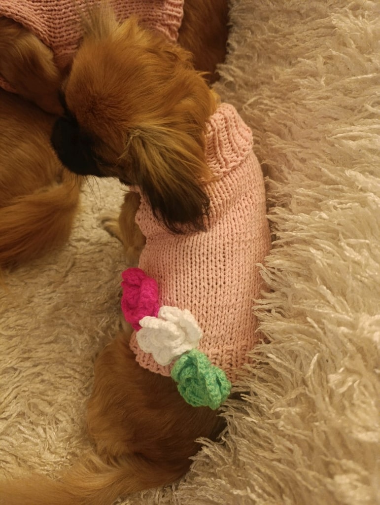 köpek giyim - 3