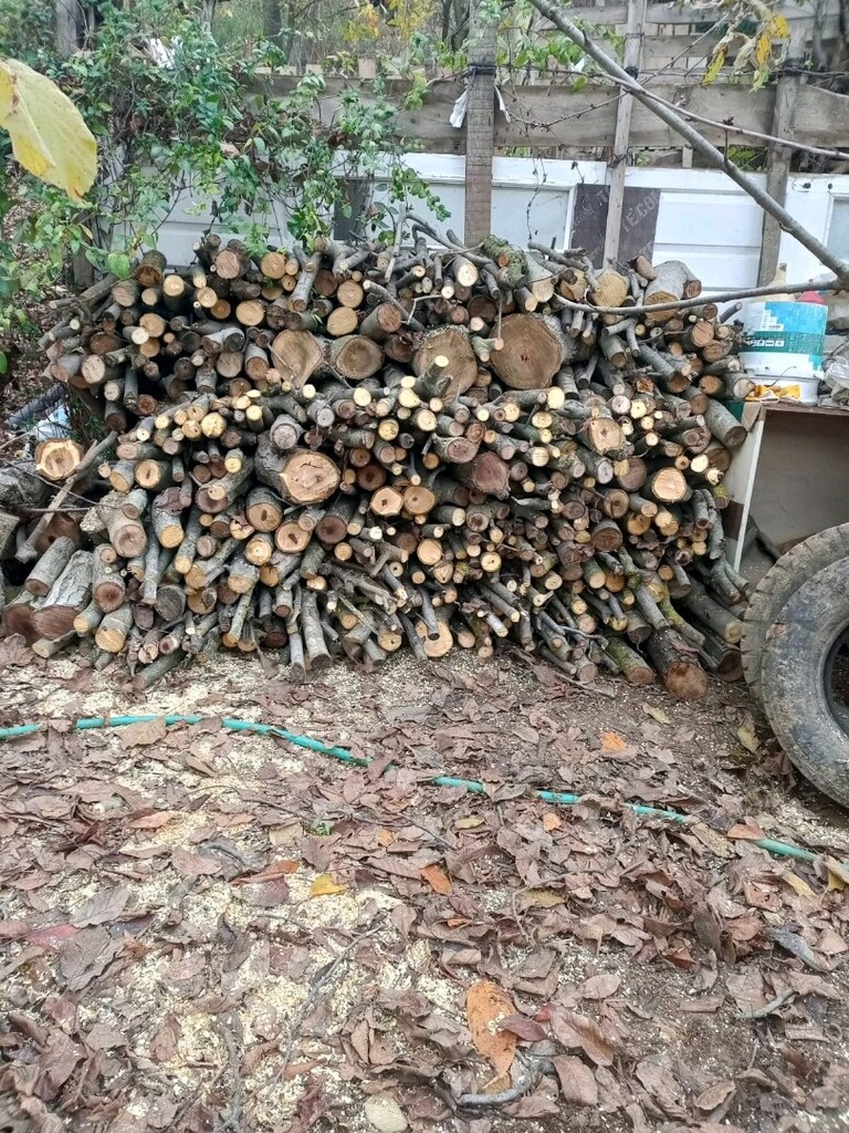 3 TON KURUTULMUŞ SOBALIK KESİLMİŞ CEVİZ ODUNU - 2