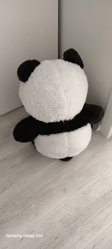 PANDA - 2