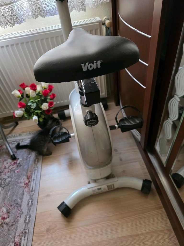 Voit kondisyon bisikleti - 2