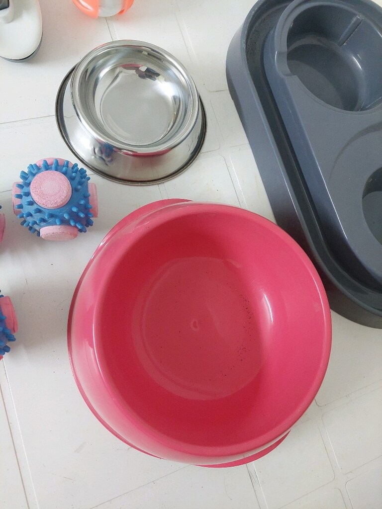 Kedi sırt çantası. Kedi tuvaleti,kedi tarağı. Kedi tablo.Kedi oyuncağı - 6