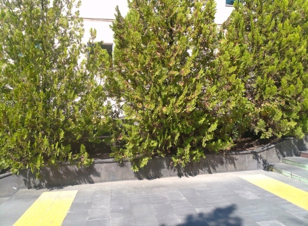 5K Ultra HD Dijital Kamera 75 MP 18X Zoom Ekranlı Çantalı - 13