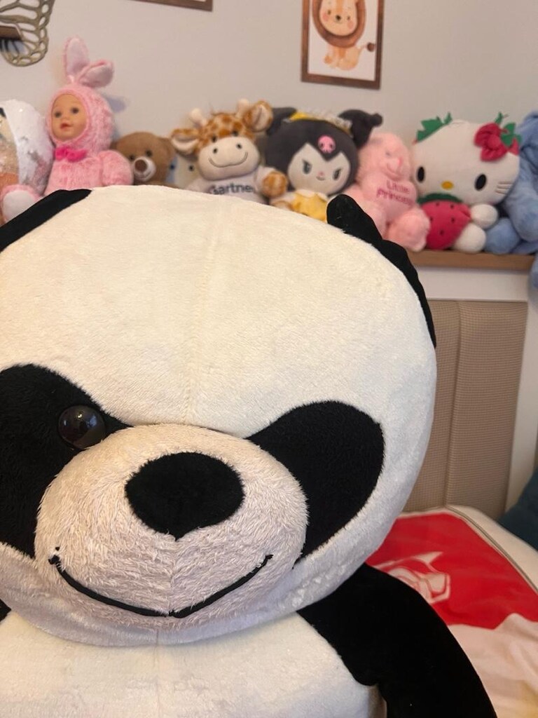 büyük boy panda - 5