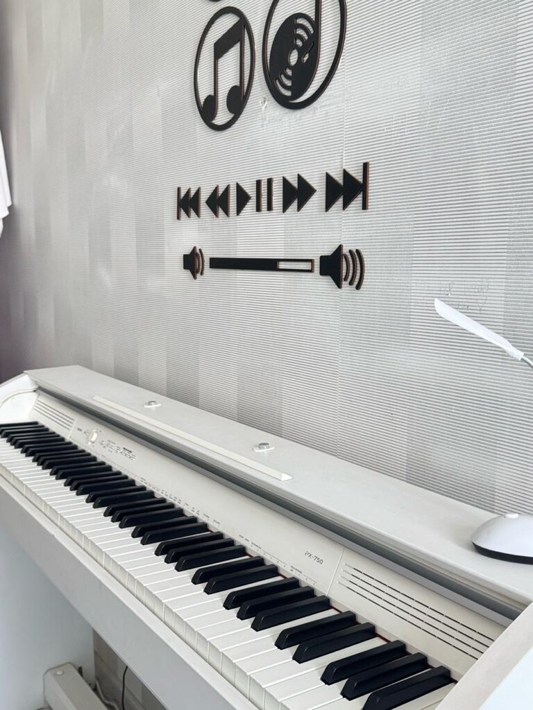 Casio Priva PX-750WE