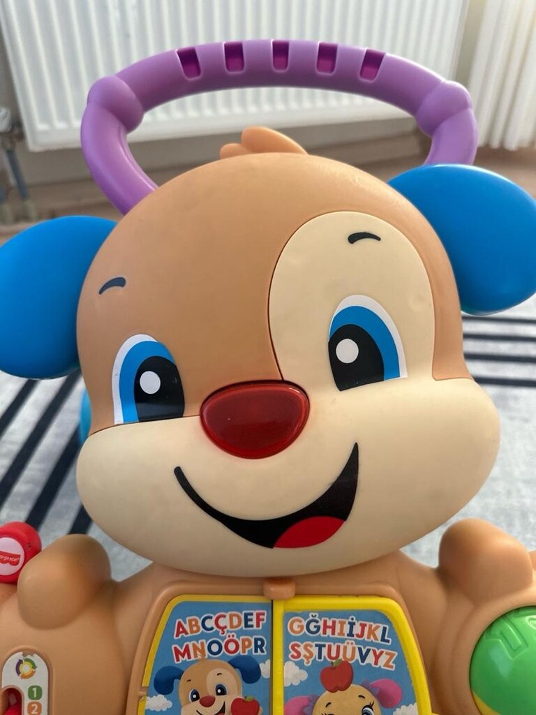 Fisher Price Köpekçik Yürüme Arkadaşı - 4