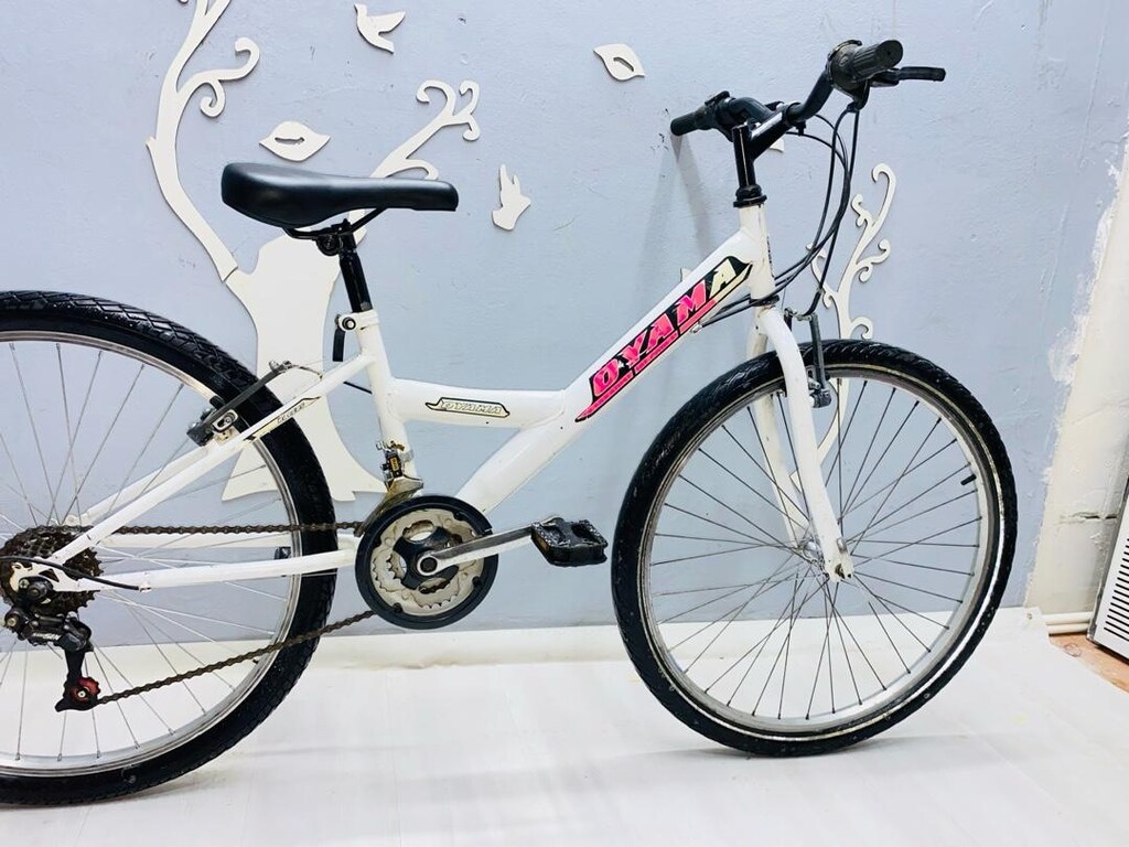 bisiklet - 5