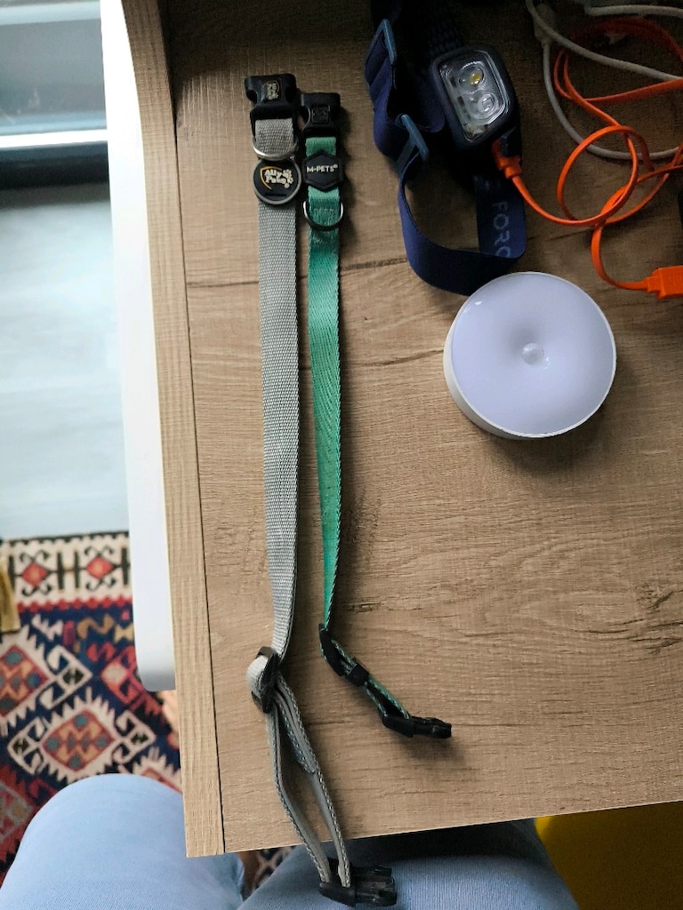 köpek yatak 50*70 cm + 35 ve 43 cm Lik boyun+ eğitim tasmasi hediye - 3