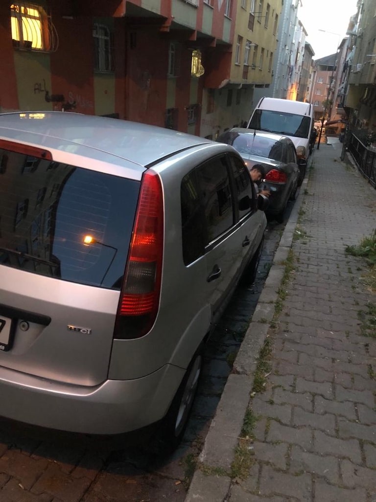 tertemiz aile aracı - 5