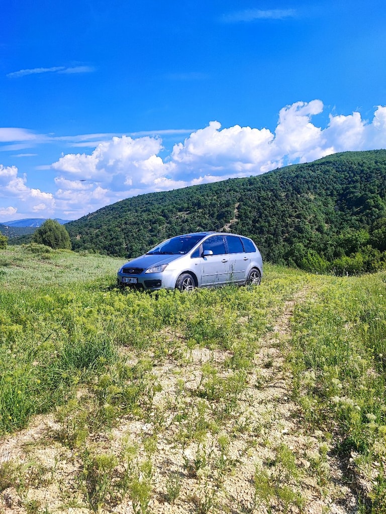 Ford C-max - 3