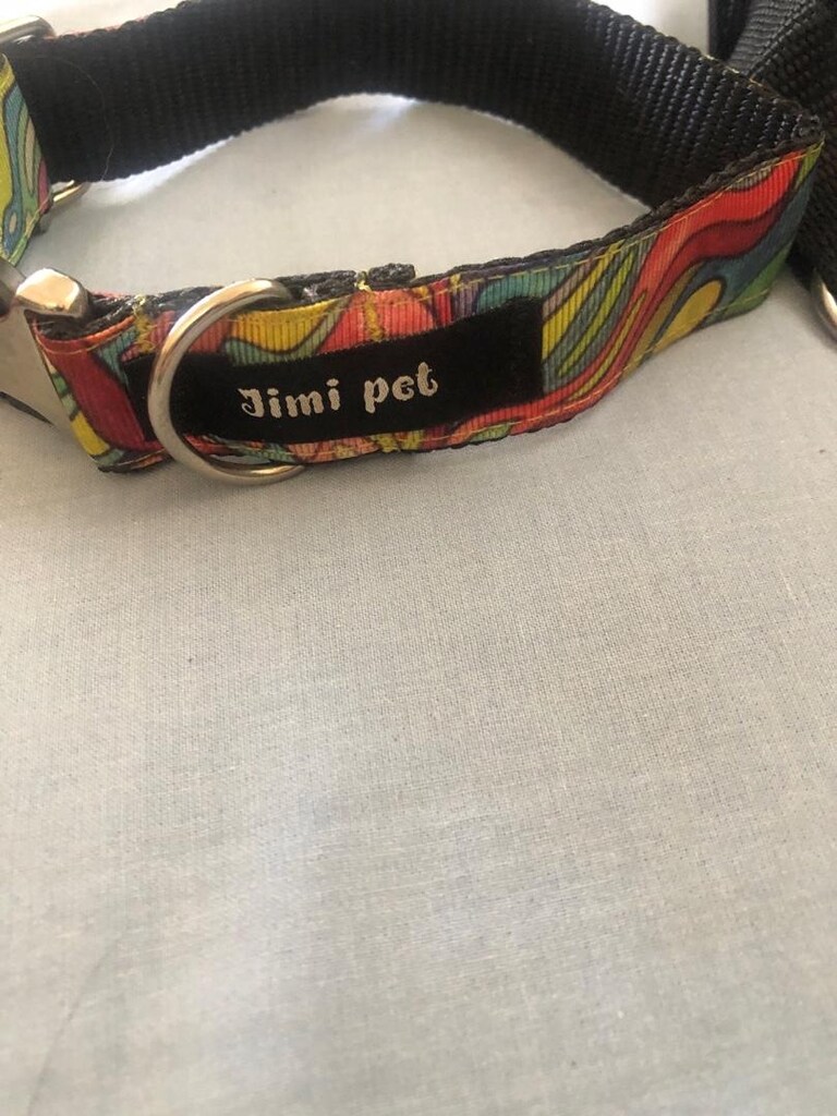 köpek tasması - 3