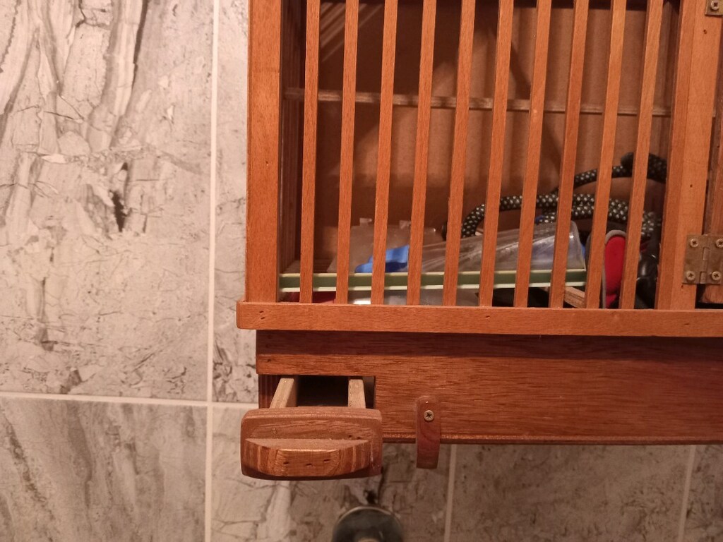 kuş kagesi - 4