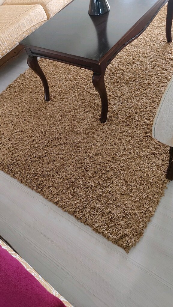 160x230cm dinarsu Shaggy halı - 2