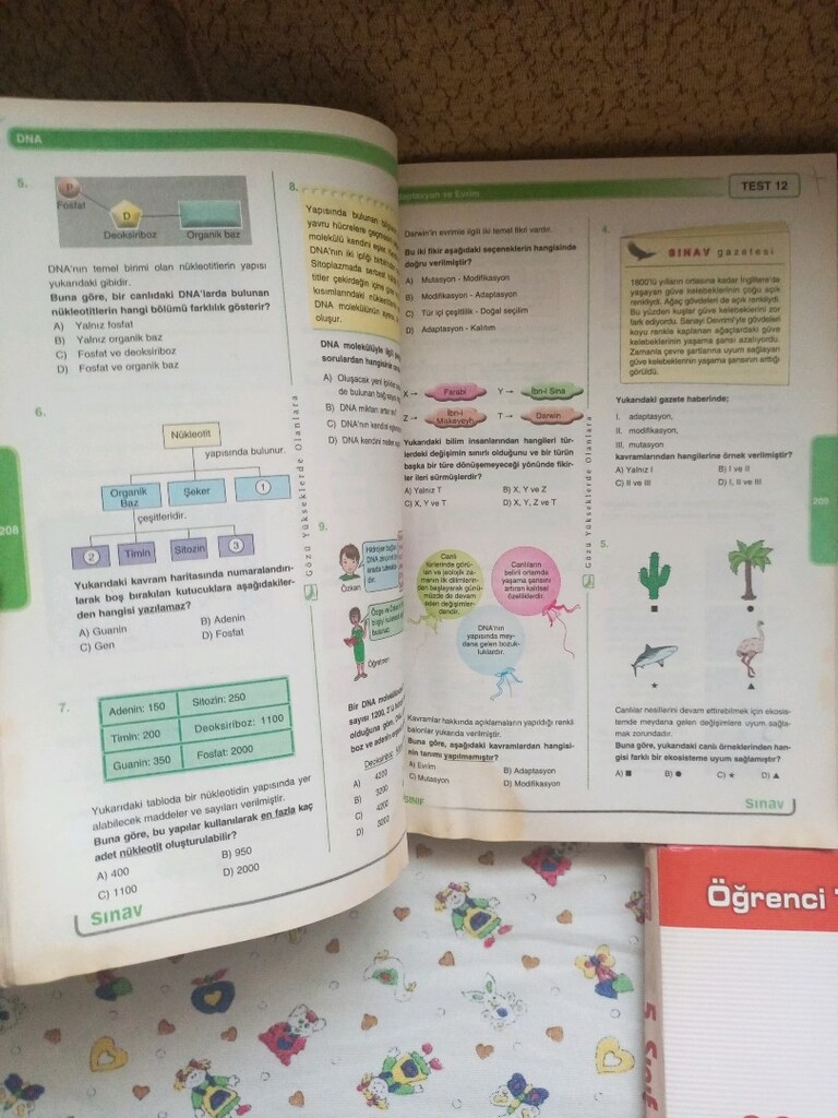TEOG 8. Sınıf Matematik 5.Sınıf My friend 8.Sınıf Kitapları - 4