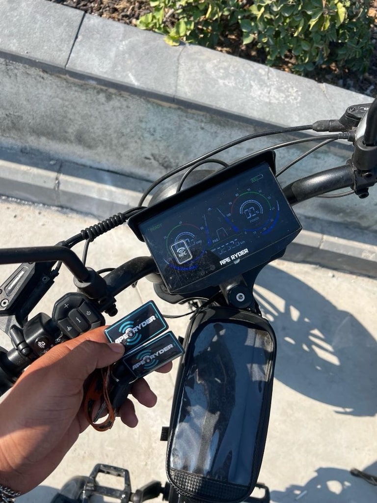 Ape Ryder Mandrill E Bilke 1000W - 2