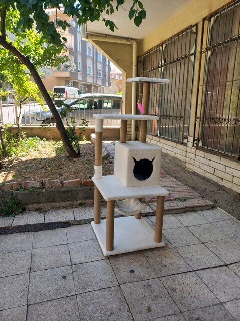 kedi evi