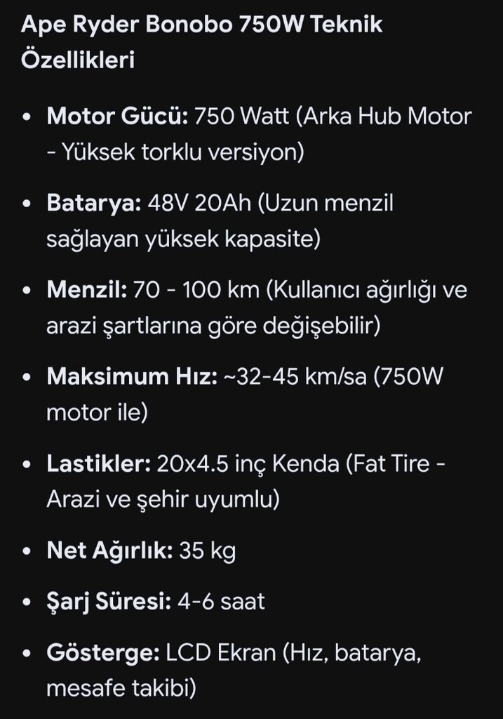 APE Ryder Bonobo (yurt dışı/off-road 750W versiyon Hidrolik disk fren - 8