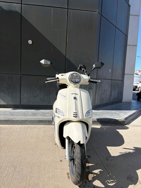 mondail exon50