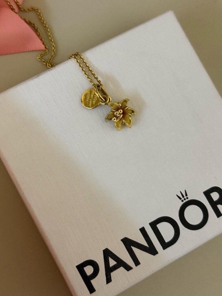 Pandora Rapunzel Çiçeği Kolye Ucu ve Kolye Zinciri - 2