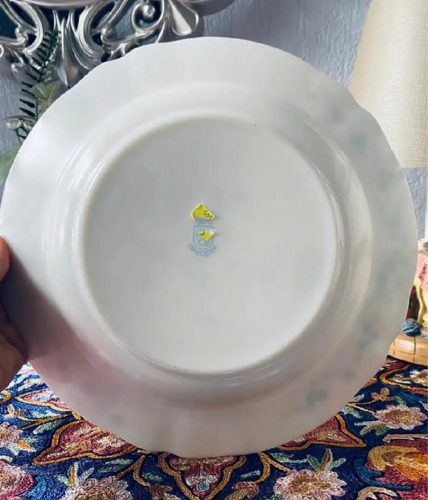 Antika Fransız Arcopal Veronica Opalin Büyük Servis Kasesi - SIFIR - 2
