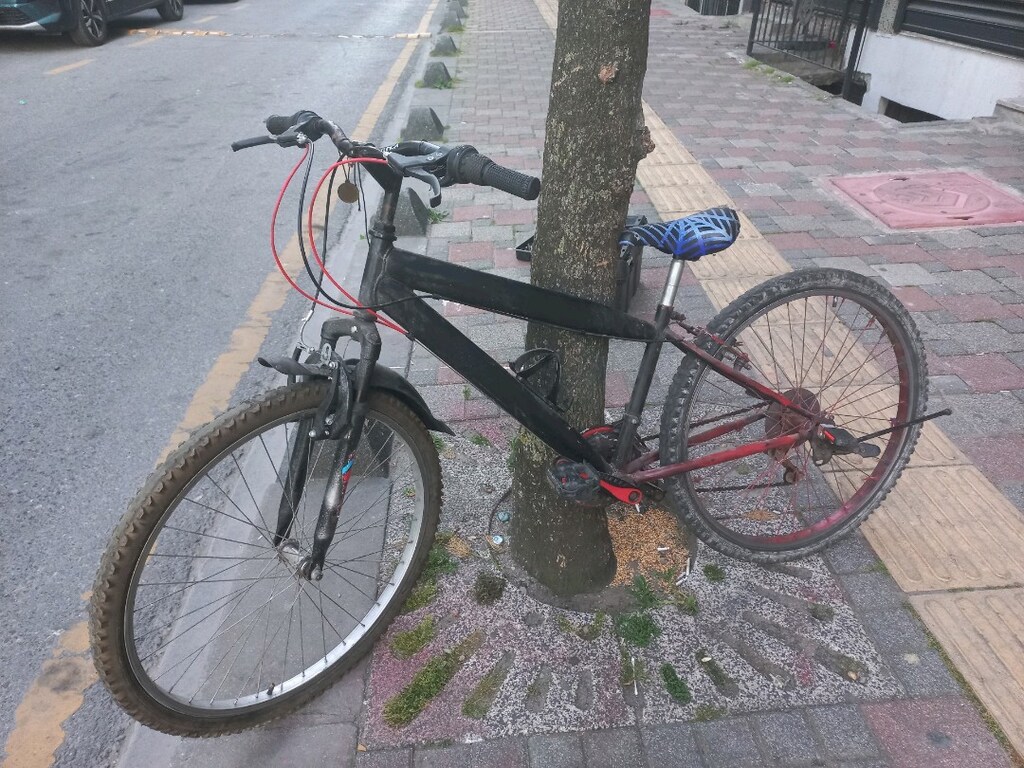 26 cant bisiklet - 2