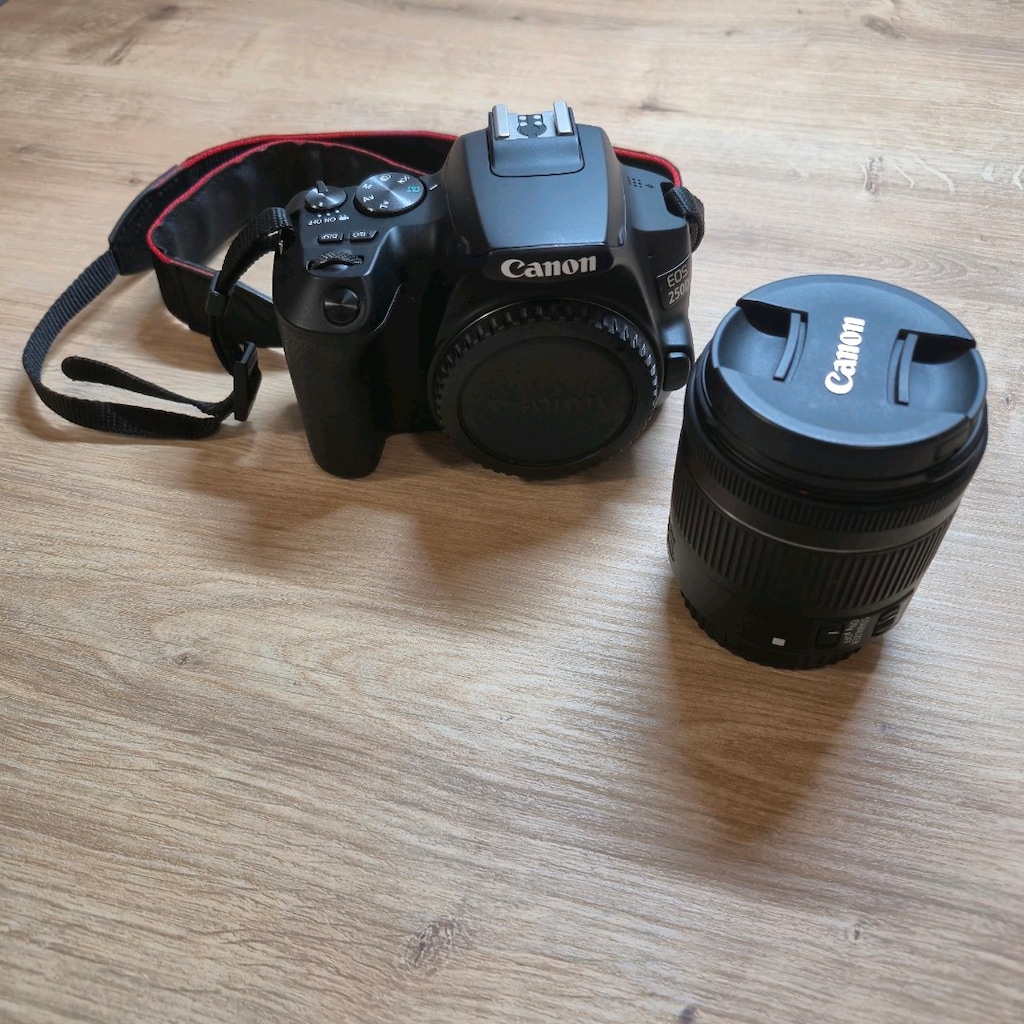 Canon EOS 250D + 18-55mm IS STM Lens - 5