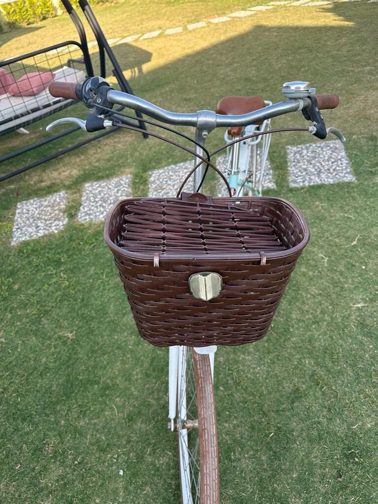carraro bisiklet - 3