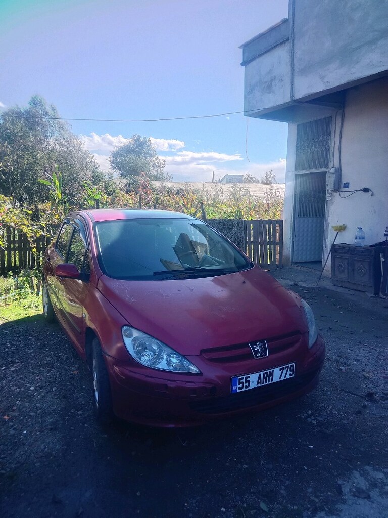 pejo 307 - 3
