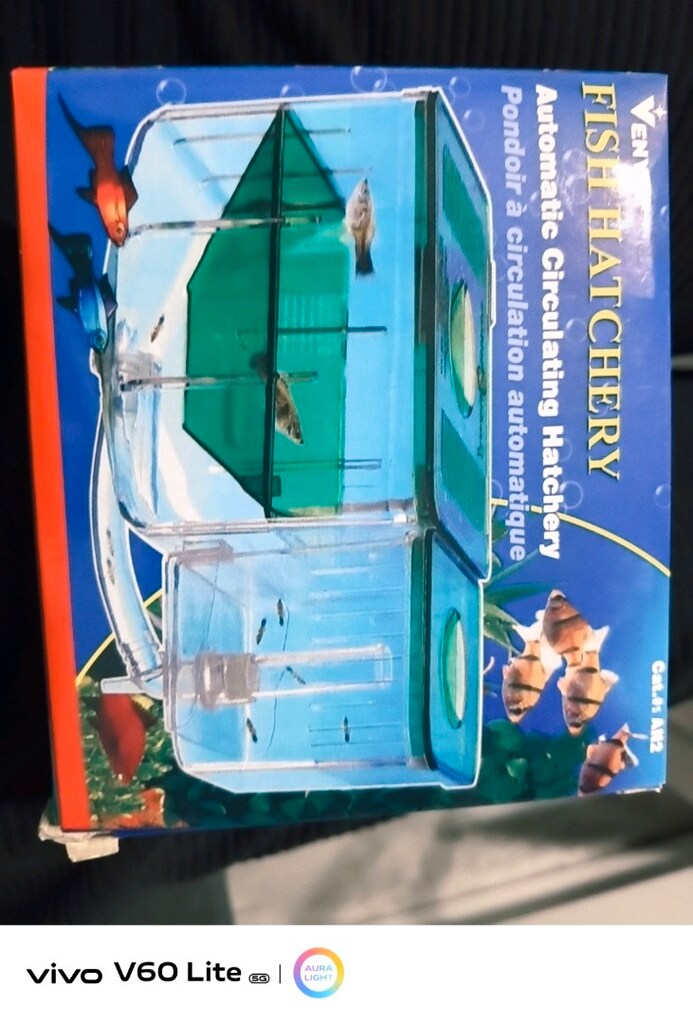 akıllı balık yavruluğu - 2