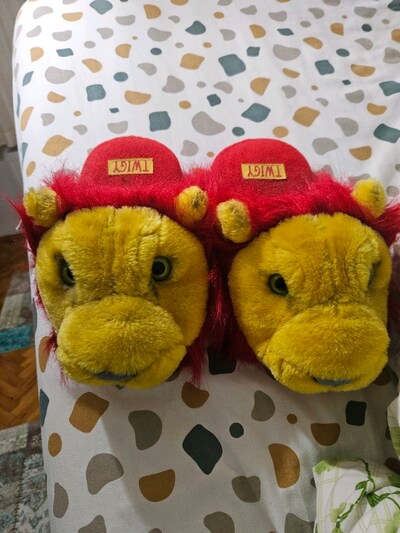 Galatasaray twigy aslan terlik