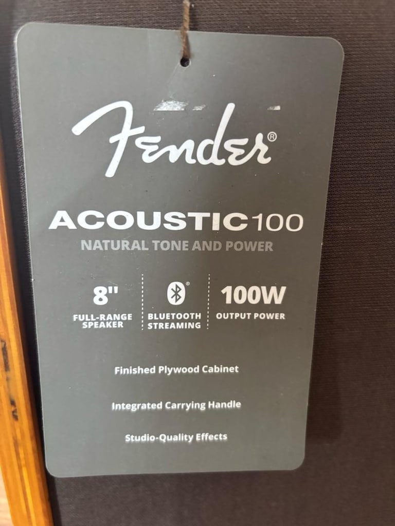 Fender Acoustic 100 Amfi - Hoparlör - 4