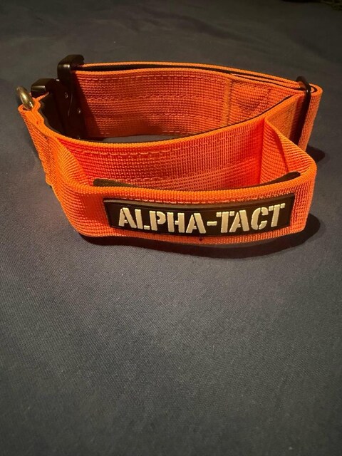 Alpha- Tach Turuncu Boyun Tasması