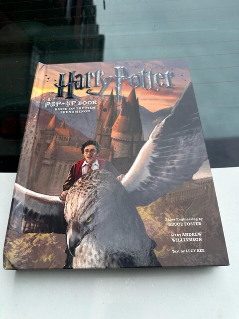 Harry Potter Azkaban Tutsağı