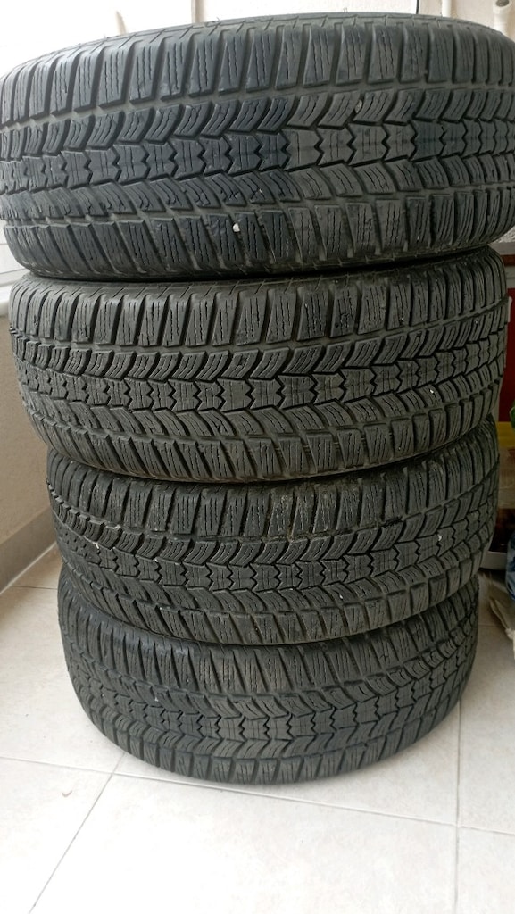 215 55 R17 kış lastiği