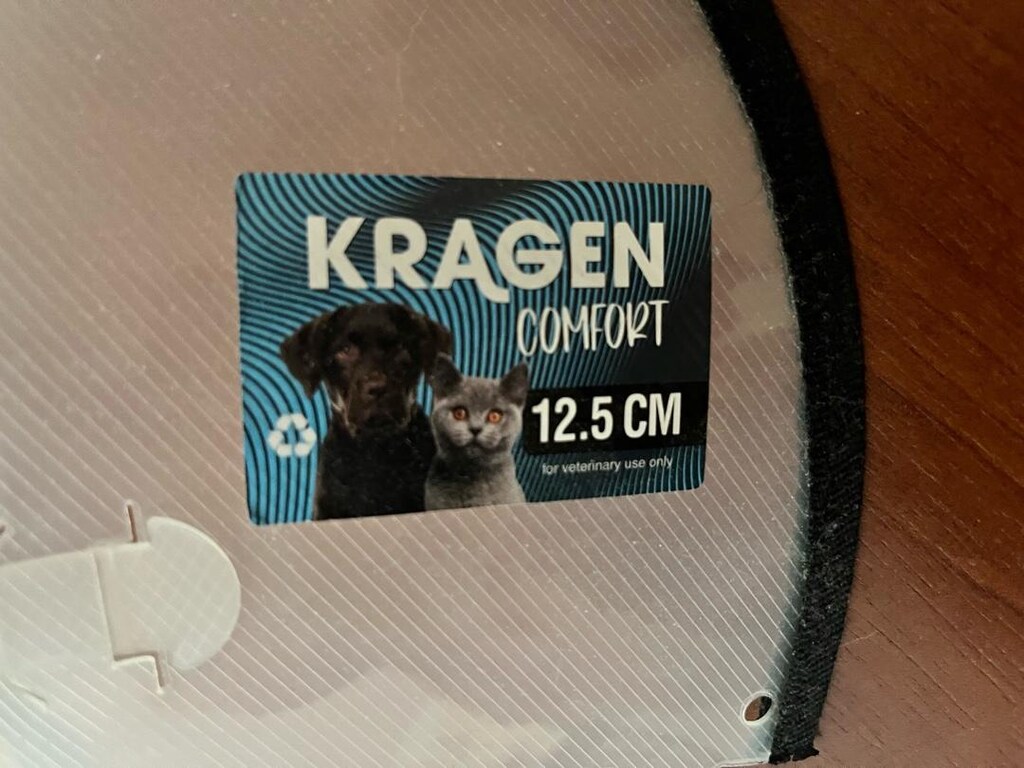 KEDİ KÖPEK YAKALIK - 3