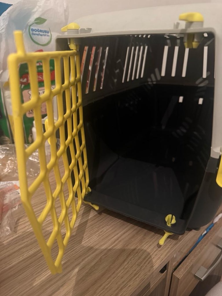 kedi köpek box - 5