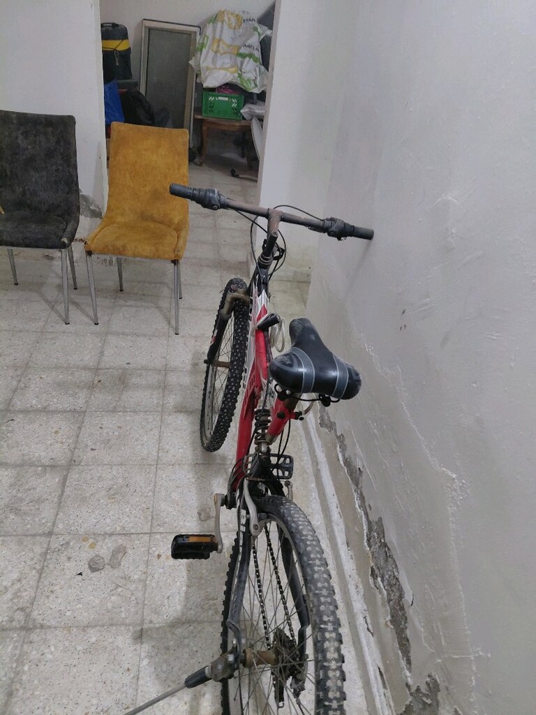 Bianchi Bisiklet - 6