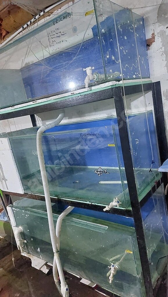 AKVARYUM 40 CM İLE 140 CM ARASI 2. EL (SIFIR AKVARYUM YAPILMAZ) - 7