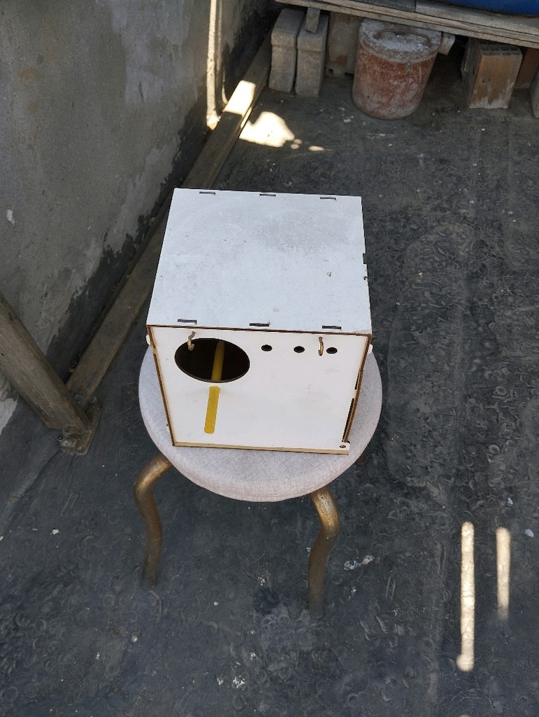 kuş yavruluk - 4
