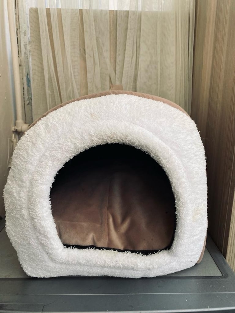 Köpek Malzemeleri