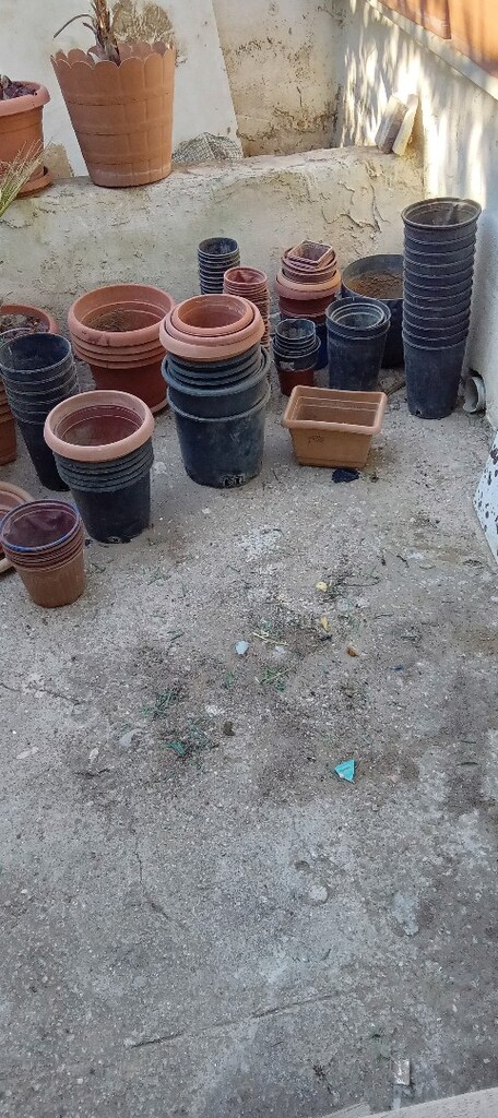 Saksı - 2