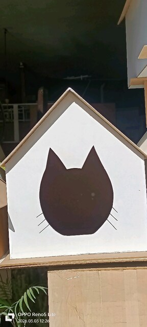 Kedi Evi