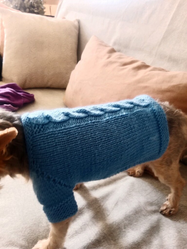 Köpek giyisisi S beden - 2