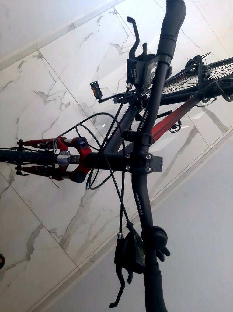 Carraro Sportive 224 - 6